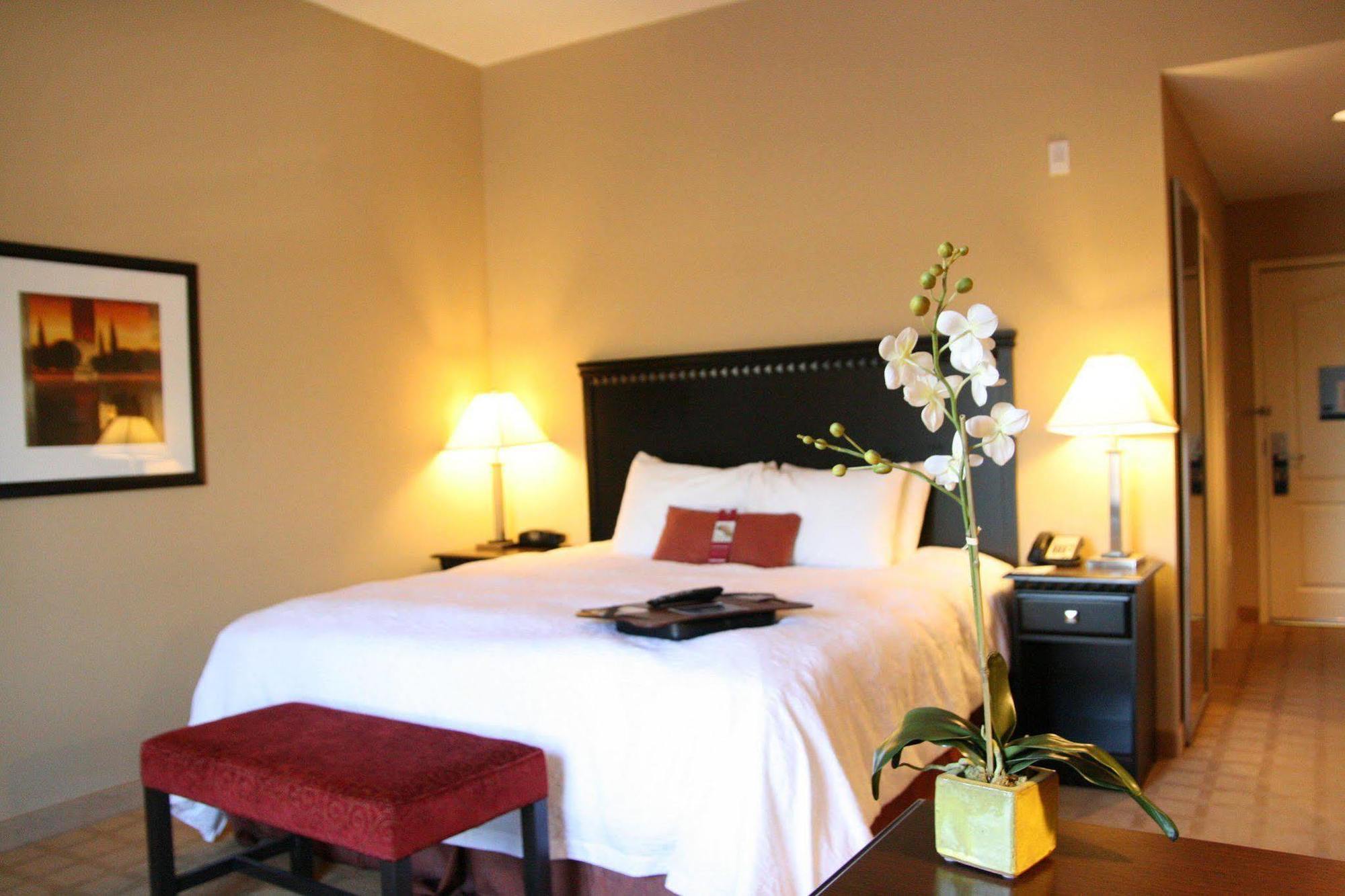 Hampton Inn Dade City - Zephyr Hills Eksteriør billede